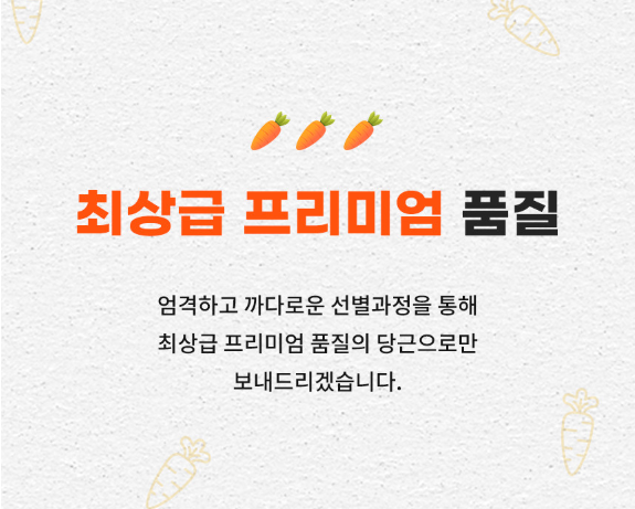 6시내고향 제주 구좌 당근 구매정보 도하네농장