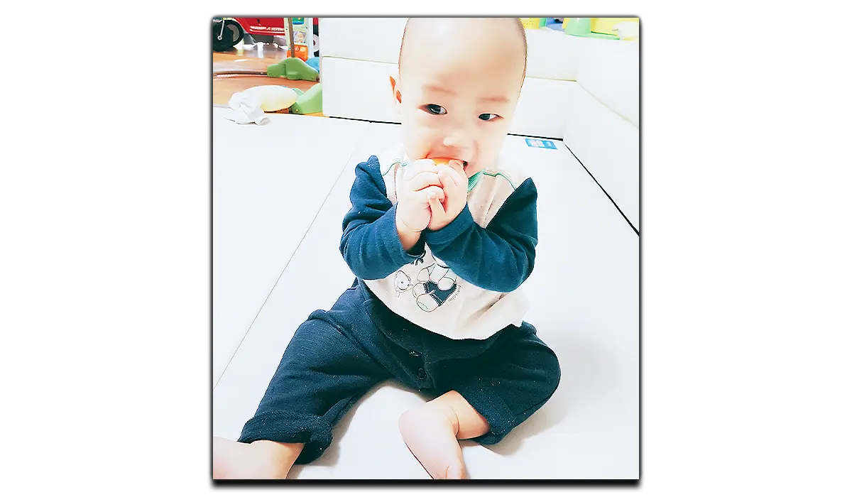 이유식-시작시기