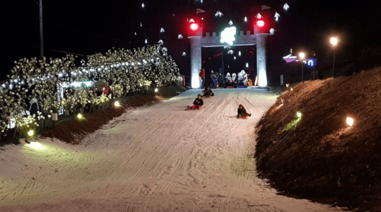 2024년 2월 강원도 여행 축제 갈만한 곳 추천