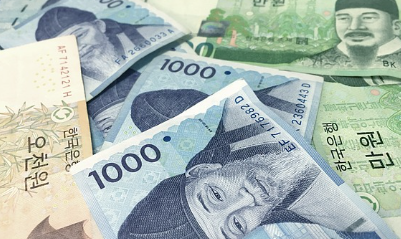 대전-민생회복지원금