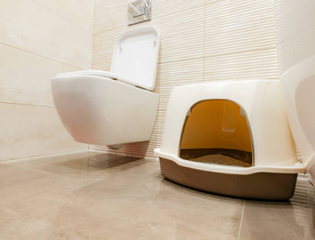 공간 분리와 탈취