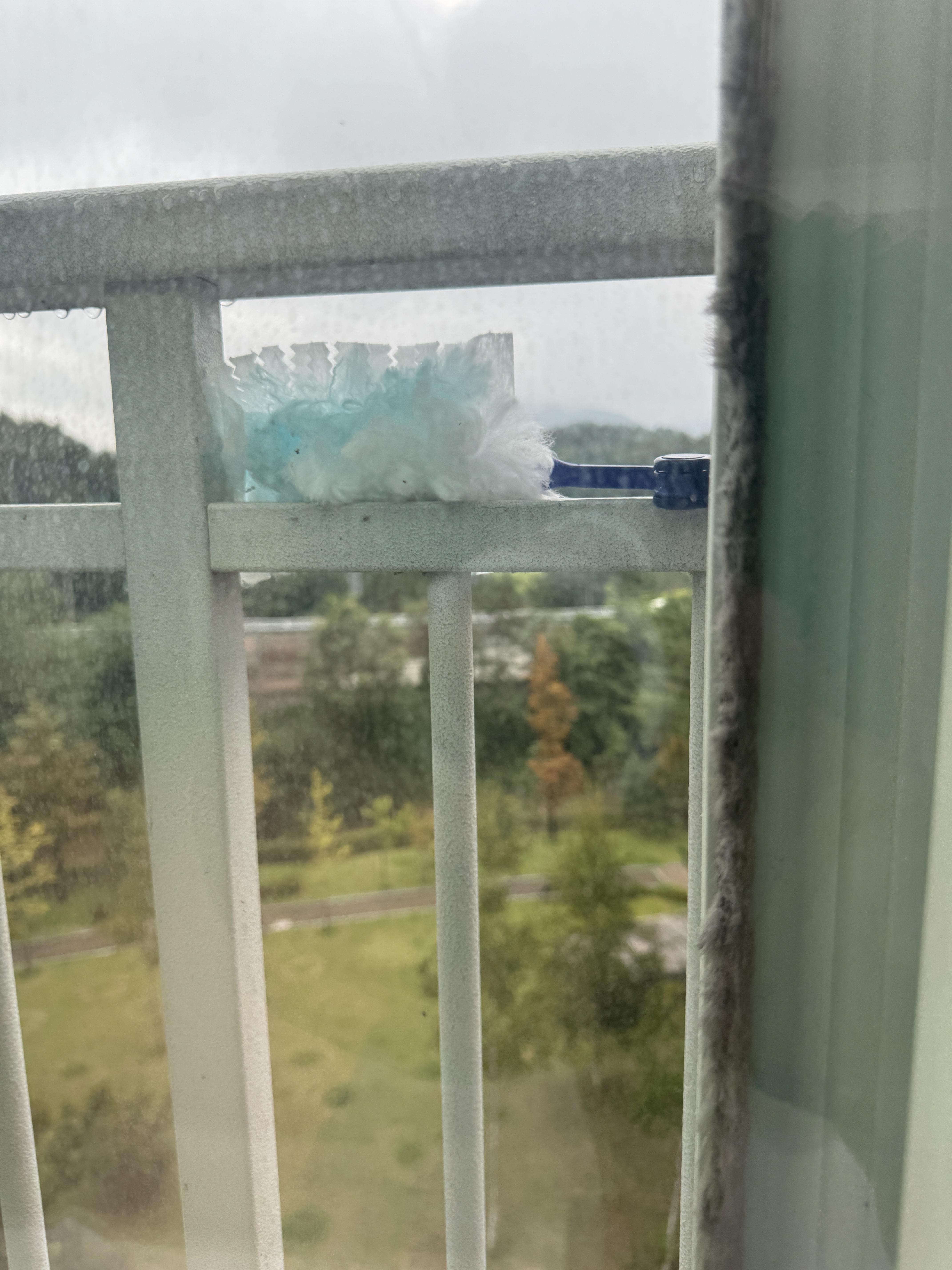 아파트 베란다 거미줄 청소 방법 이미지 8