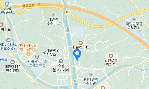 축제장소