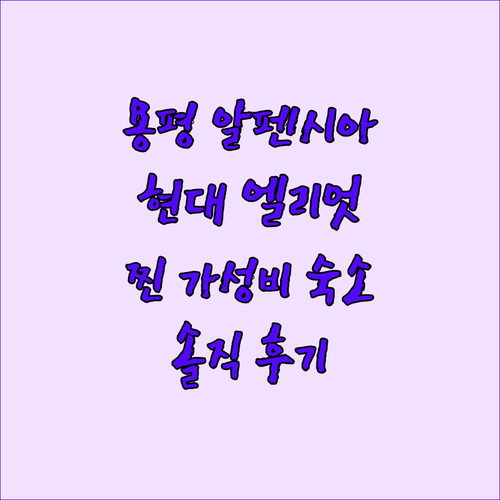 용평스키장 알펜시아 코앞! 평창 현대