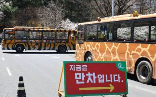 대전 늑대 동물원 오월드 탈출 퓨마 포획 상황