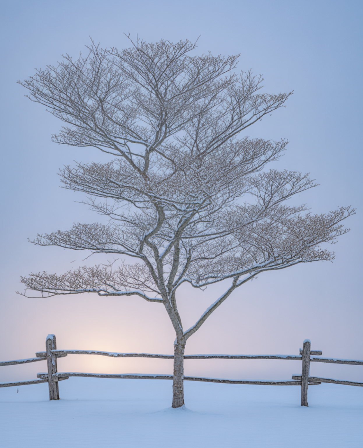 이름이 곧 신분증&amp;#44; 층층이 쌓이는 가지