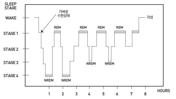 수면단계