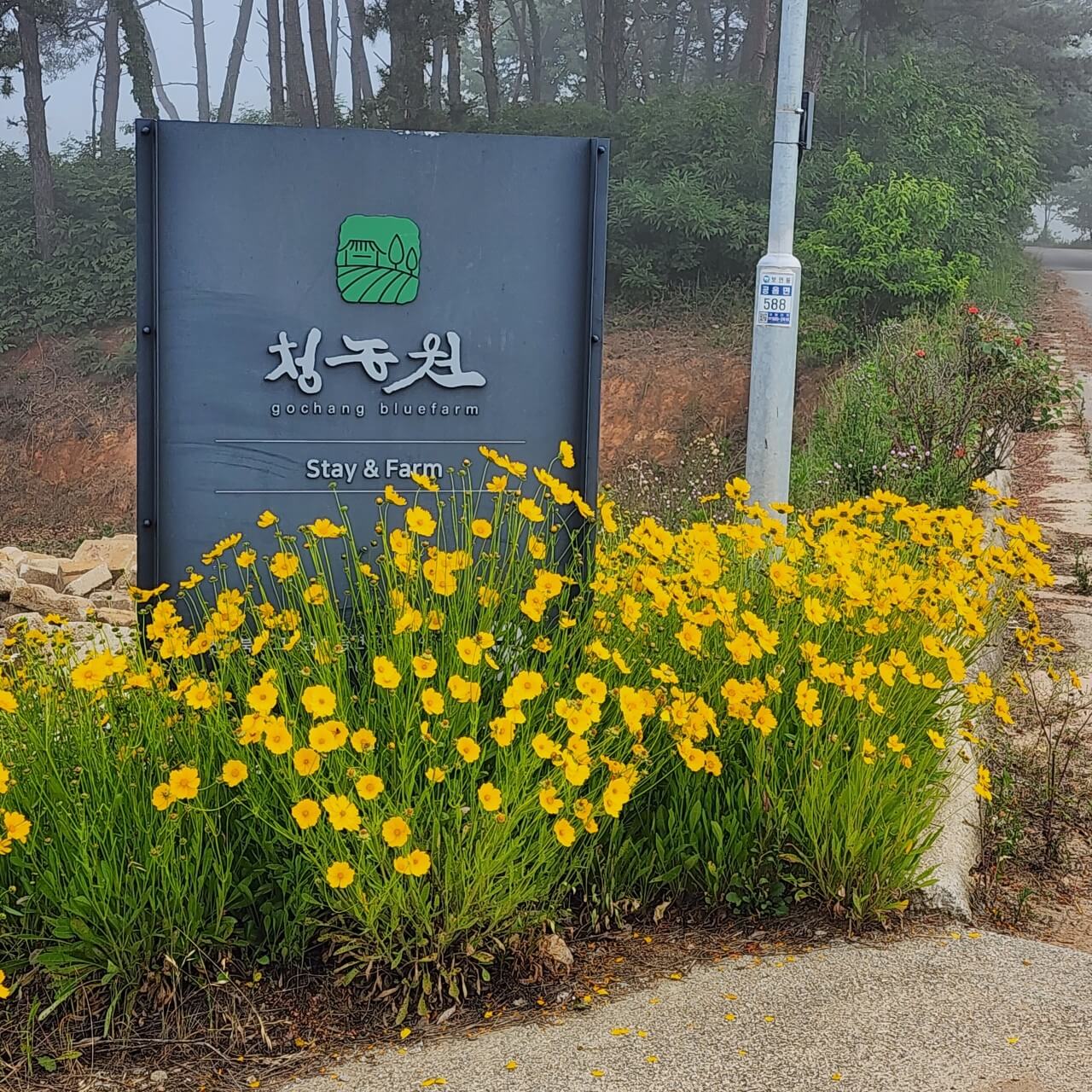 생생정보 2309회 장PD의 AI 여행기 고창 여행일정 총정리&amp;#44; 고창청농원&amp;#44; 해변승마클럽 취게팜&amp;#44; 두암초당&amp;#44; 본가 백합한상