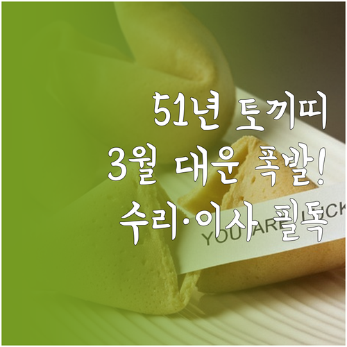 1951년생 토끼띠 3월 운세와 이사..