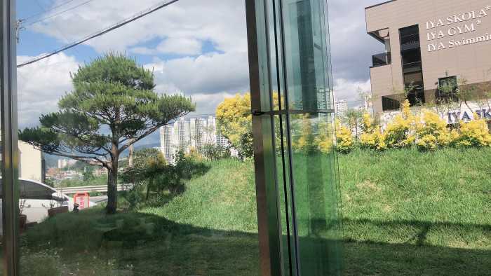 정원에 활짝핀 꽃의 모습