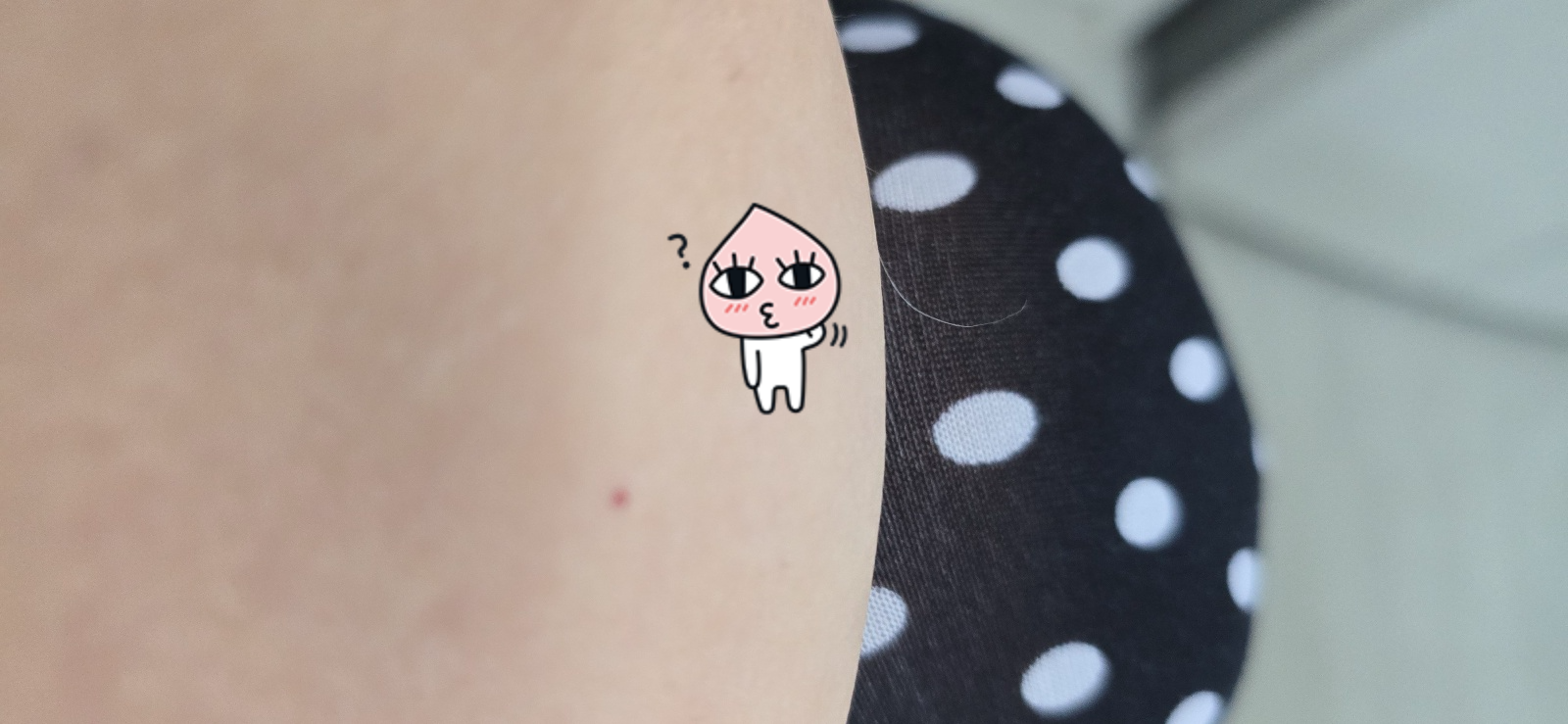 몸에 하얀털