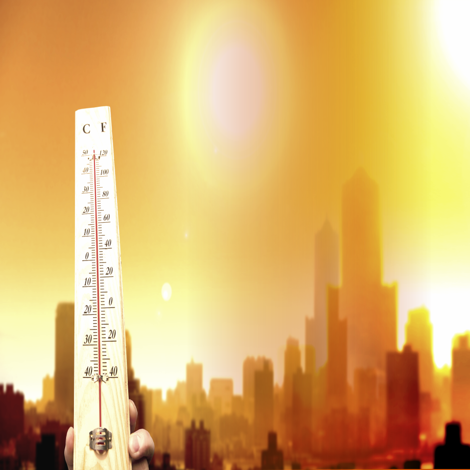 일사병과 열사병은 어떻게 다른가요?