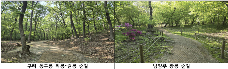 구리 동구릉, 남양주 광릉