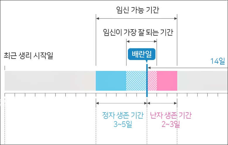 가임기