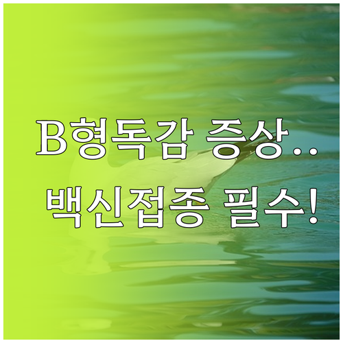 B형 독감 증상 특징과 백신 접종 후..