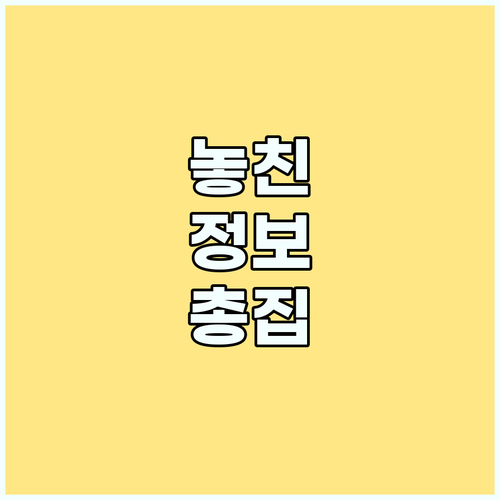 꿈 해몽: 자동차 사고 꿈의 진짜 의