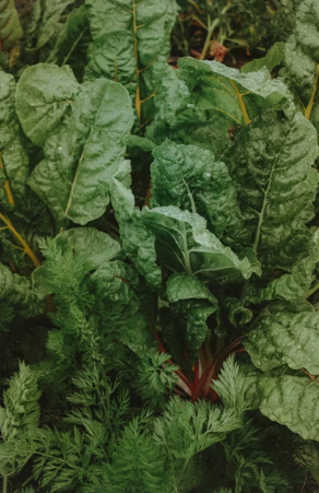 봄 캠핑 바비큐의 꽃: 알싸한 달래와 아삭한 대파의 만남, 실패 없는 무침 가이드