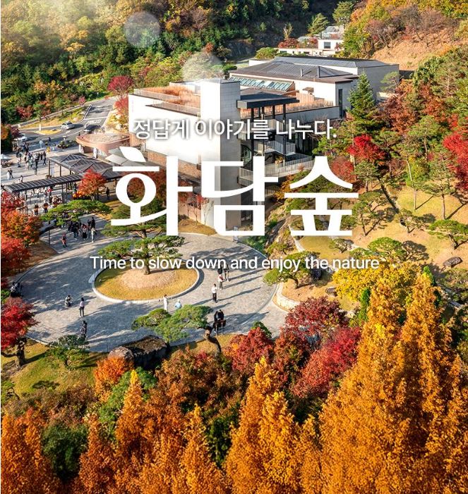 화담숲 가을단풍 여행