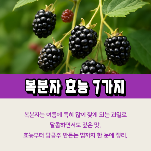 복분자 효능 7가지