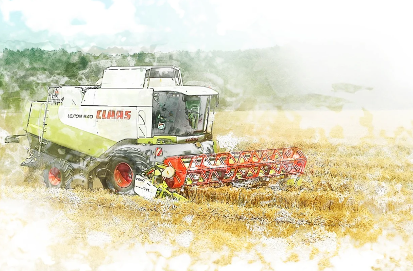 통밀의 주요 효능 소화 건강 개선