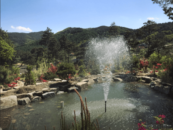 평창보타닉가든