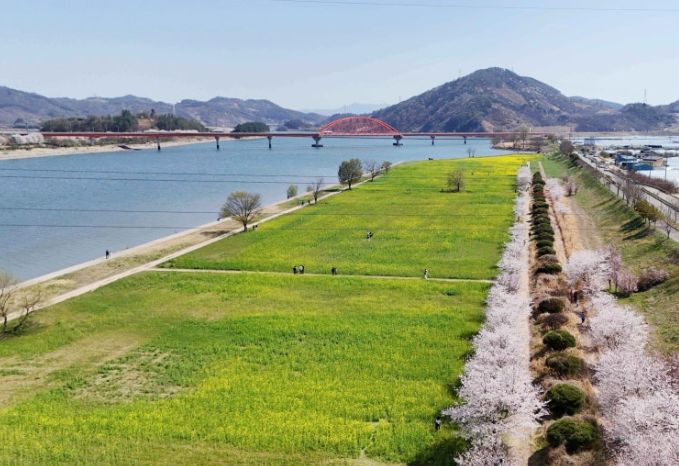 하동 유채꽃 산책