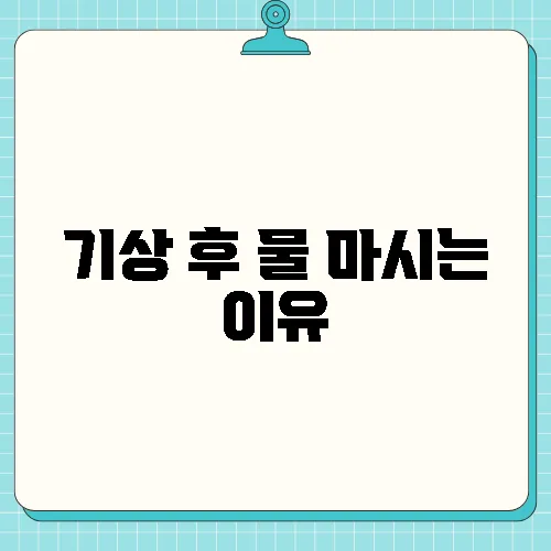 기상 후 물 마시는 이유