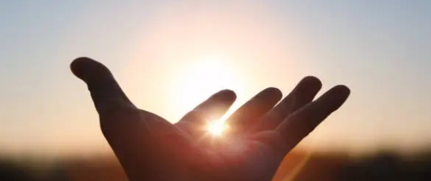 초보도 가능 관련 사진