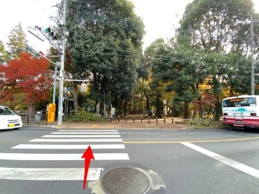 횡단보도에 빨간색 선이 있고 차들이 있는 사진