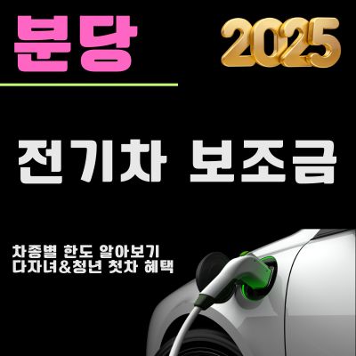 썸네일_2025년 분당 전기차 보조금 혜택 총정리 (차종별 한도 조회, 다자녀 추가 혜택)