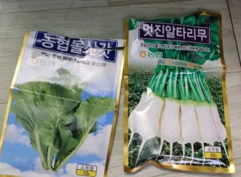 알타리무 파종시기 핵심 포인트_29