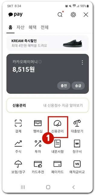 신용 점수 조회 방법 무료[nice, kcb, 토스, 카카오, 네이버]