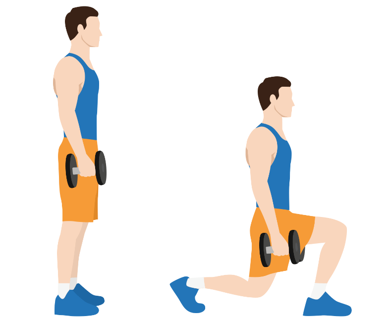 고양이의 사냥 본능을 살리는 운동 놀이 추천