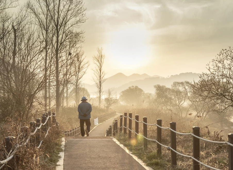 노령연금 수급자격