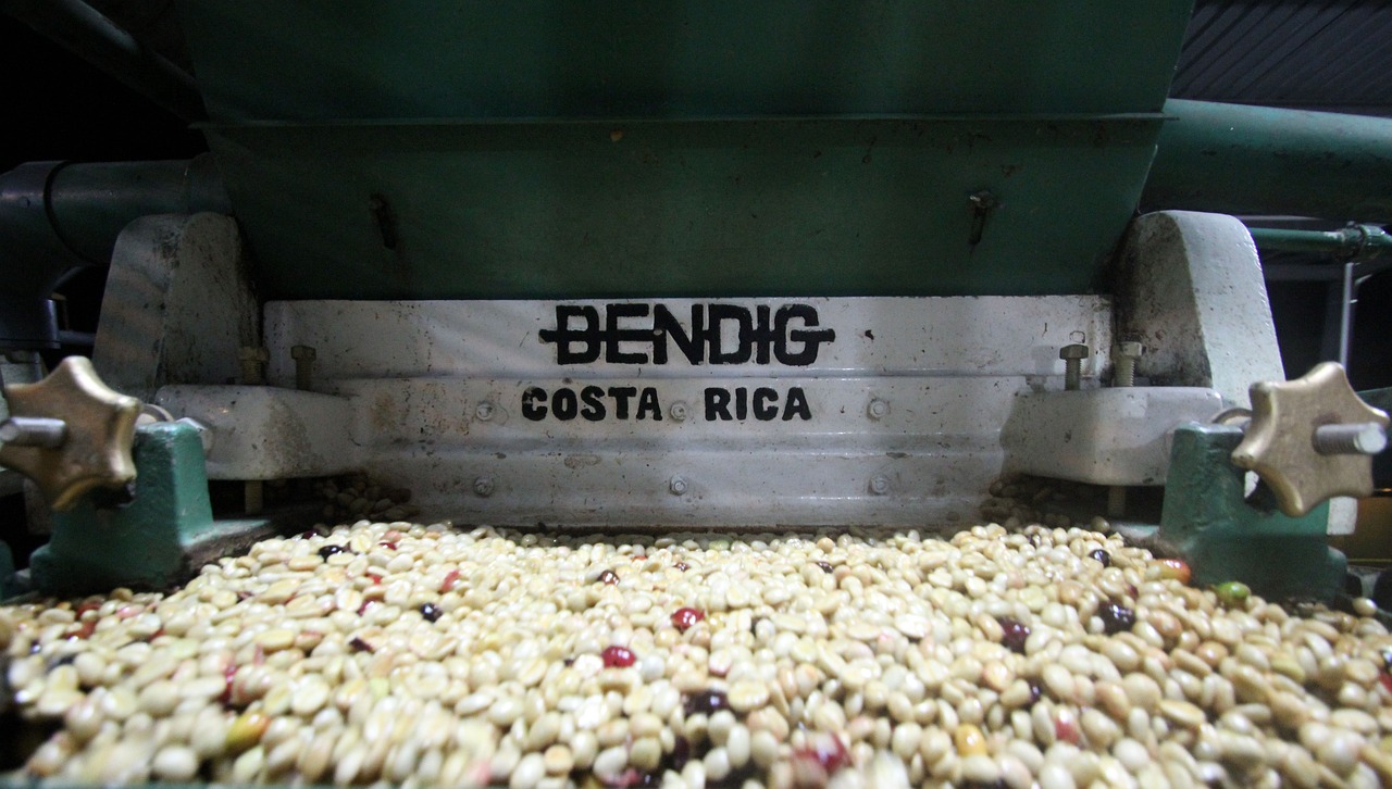 커피원두가공 사진