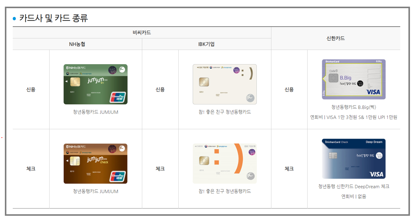 청년동행카드-카드사-및-종류
