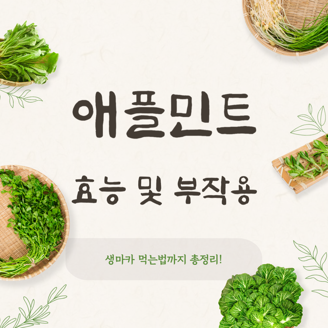 애플민트 효능 및 부작용
