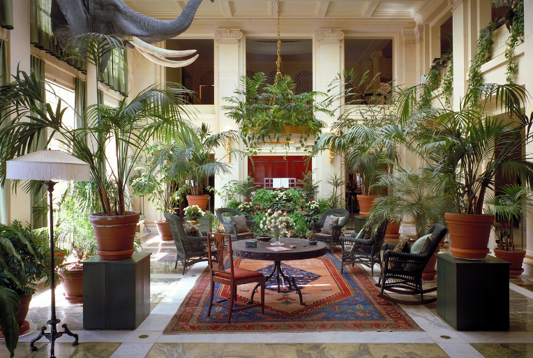 도시에서의 작은 실천: 실내 정원과 식물 키우기