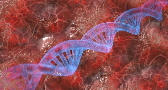 대장암 초기증상 몸이 보내는 신호 알아보기2