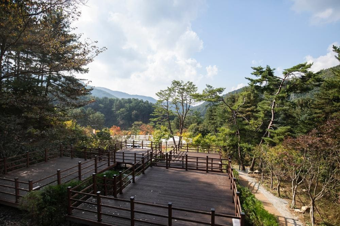 동두천 자연휴양림 캠핑장