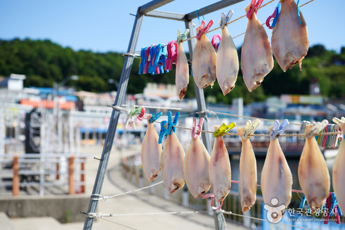 속초 가볼만한곳 베스트10