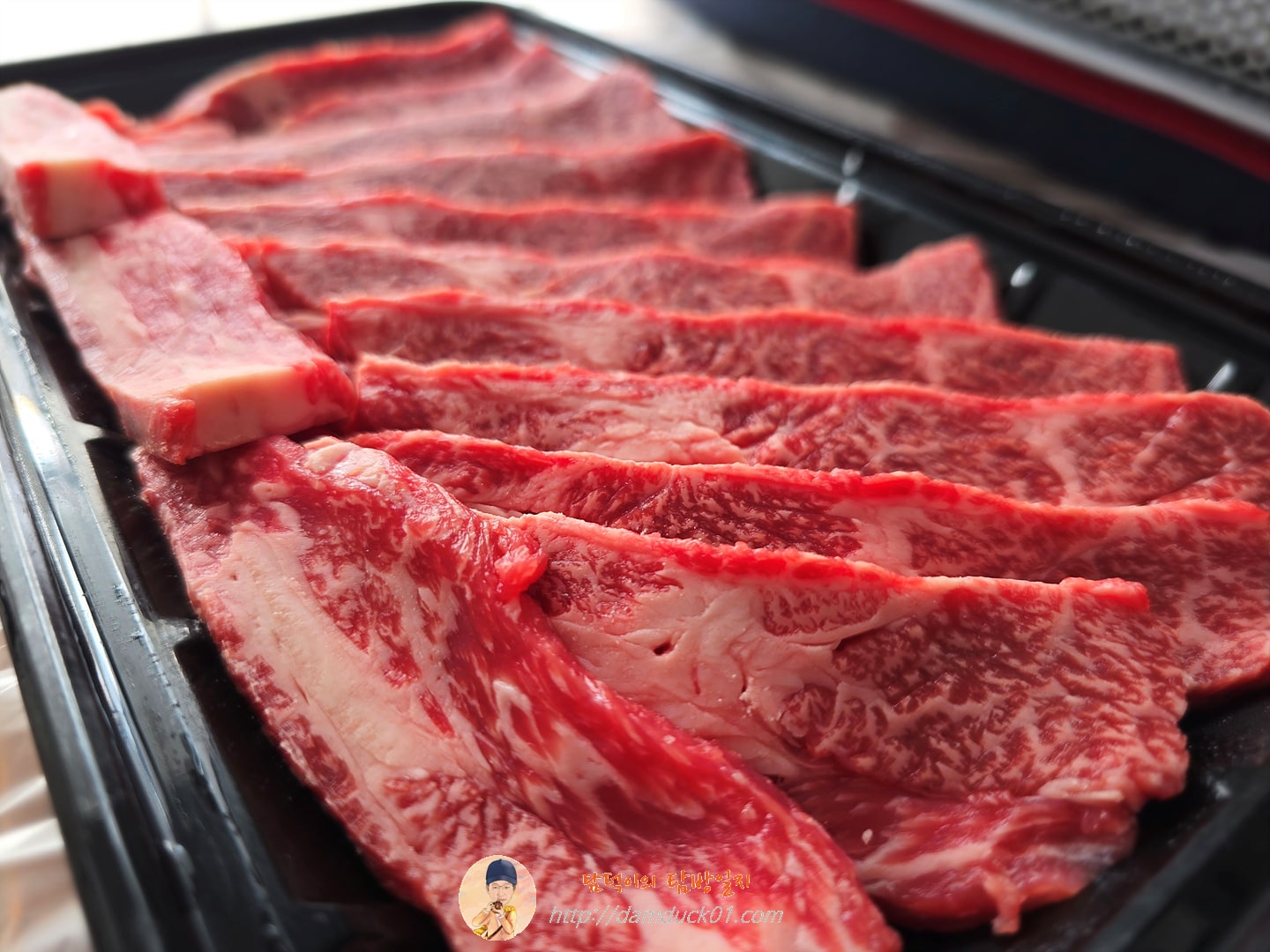 바베큐캠프닉868.3