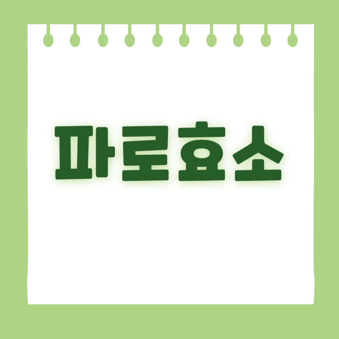 파로효소