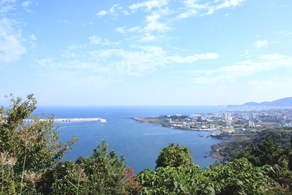 별도봉 산책로에서 내려다본 제주시 해안과 탁 트인 바다 전경. 도심 속에서도 제주의 절경 사진.