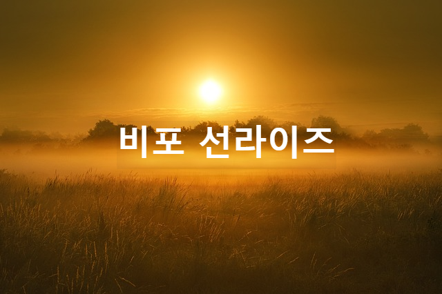 선라이즈