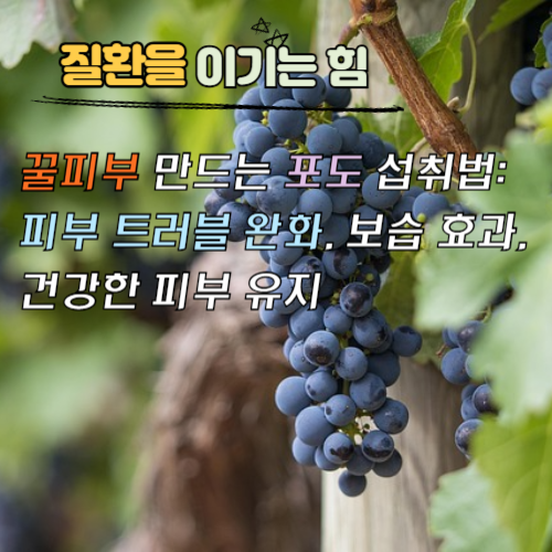 꿀피부 만드는 포도, 이렇게 먹으면 효과 2배! (일일 섭취량, 세척법, 주의사항까지)
