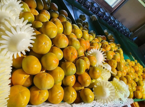 전남 영광 태추단감