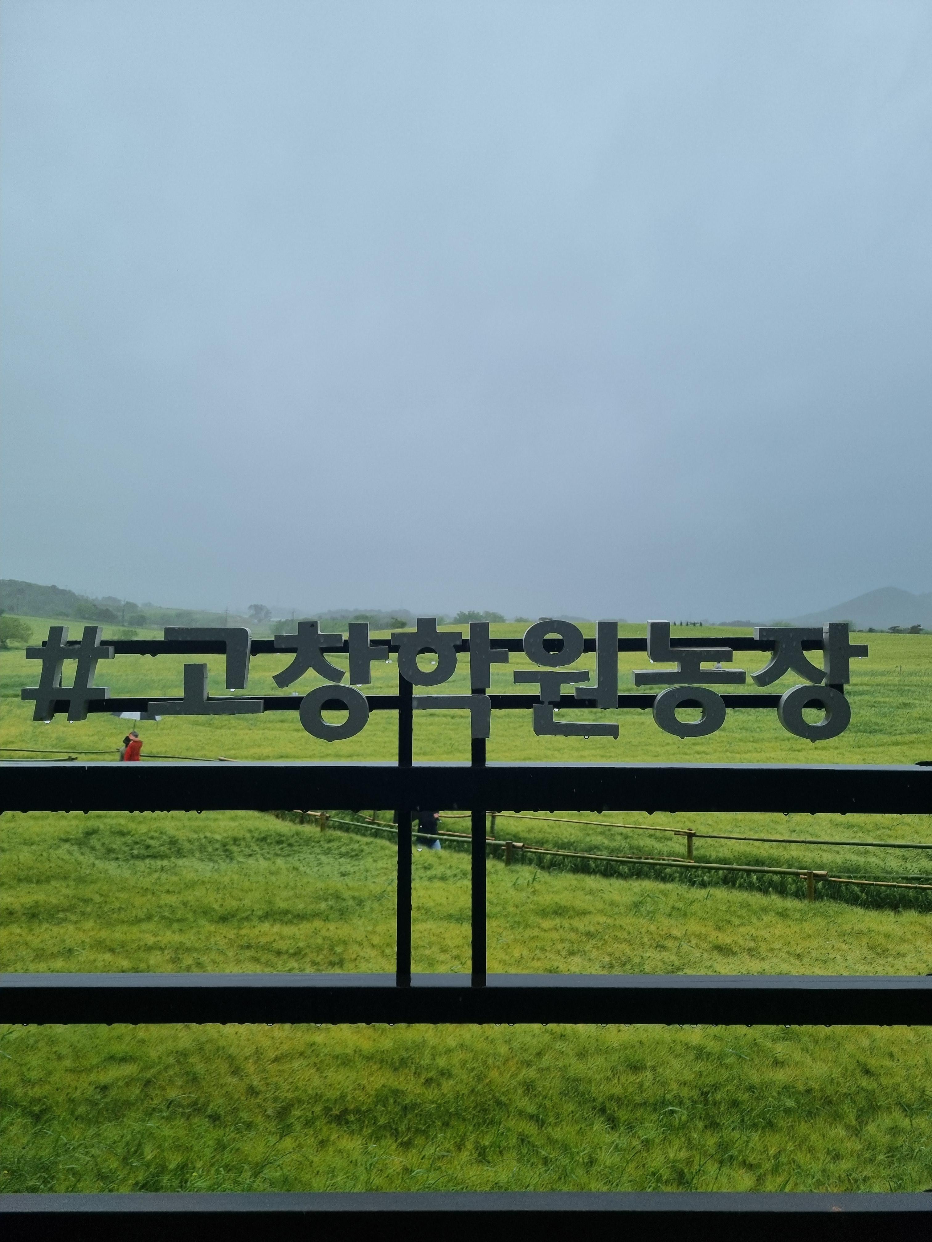 고창 청보리밭축제