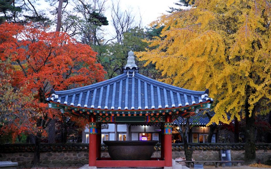 속리산 단풍