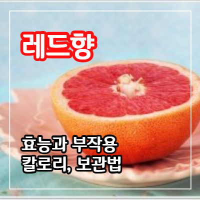 레드향 효능11가지와 칼로리 및 보관법&#44; 부작용